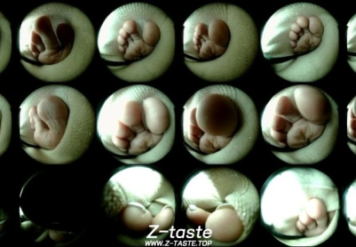 【CandidVRfeet】Trapping in Mirai's sock (Tiny3D 08) 3K